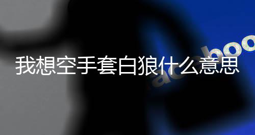我想空手套白狼什么意思（空手套白狼什么意思）