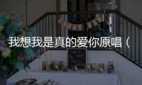 我想我是真的愛(ài)你原唱（我想我是真的愛(ài)你）