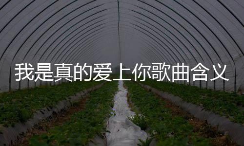 我是真的愛上你歌曲含義（我是真的愛上你是表白歌嗎）