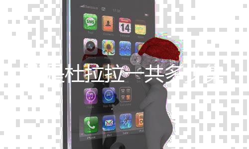 我是杜拉拉一共多少集
