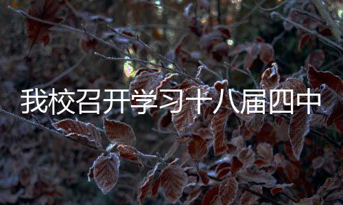 我校召開學習十八屆四中全會精神師生代表座談會