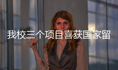 我校三個項目喜獲國家留學基金委2020年創新型人才國際合作培養項目資助
