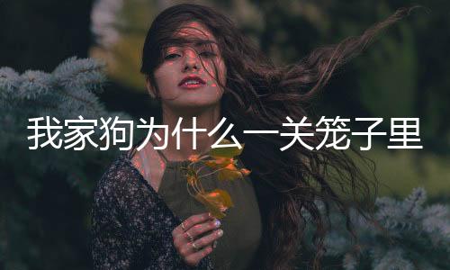 我家狗為什么一關籠子里就不兇了？為什么狗狗一關籠子就叫