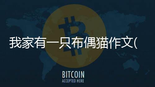 我家有一只布偶貓作文(我家一只布偶貓作文400字)