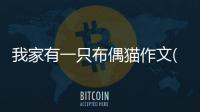 我家有一只布偶貓作文(我家一只布偶貓作文400字)