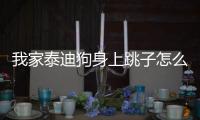 我家泰迪狗身上跳子怎么辦啊？泰迪狗身上長跳蚤了有什么好的辦法