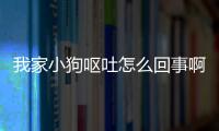 我家小狗嘔吐怎么回事啊？我家小狗嘔吐怎么回事兒