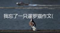 我忘了一只暹羅貓作文(暹羅貓 忘川)