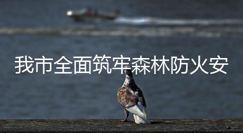 我市全面筑牢森林防火安全防線_