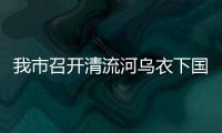 我市召開清流河烏衣下國控斷面水質達標攻堅行動推進會議_