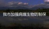 我市加強病媒生物防制保障群眾身體健康_