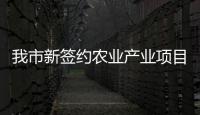 我市新簽約農業產業項目102個
