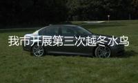 我市開展第三次越冬水鳥同步調查