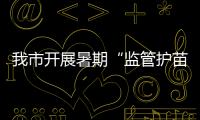 我市開展暑期“監管護苗”專項行動_
