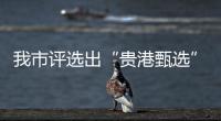 我市評(píng)選出“貴港甄選”區(qū)域公共品牌視覺(jué)標(biāo)識(shí)