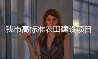 我市高標準農(nóng)田建設項目總體進展位列全區(qū)前茅