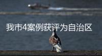 我市4案例獲評為自治區教育信息化優秀案例