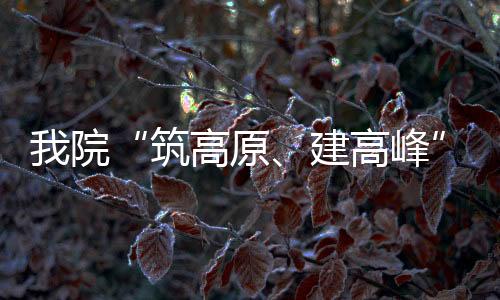 我院“筑高原、建高峰”醫療質量安全分析改進會走進泌尿外科