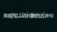 我能寫以動襯靜的古詩句	 以動襯靜的詩句大全