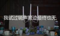 我試過銷聲匿跡最終也無人問津是什么意思（問津是什么意思）