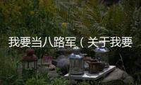我要當八路軍（關于我要當八路軍的基本情況說明介紹）