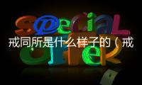 戒同所是什么樣子的（戒同所是怎么戒的）