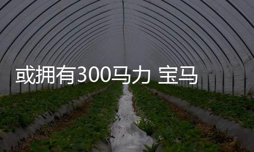 或擁有300馬力 寶馬M235i路試諜照曝光