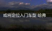 或將定位入門車型 哈弗新款SUV諜照曝光
