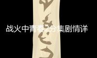 戰火中青春2分集劇情詳細介紹21