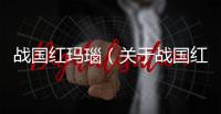 戰國紅瑪瑙（關于戰國紅瑪瑙的基本情況說明介紹）