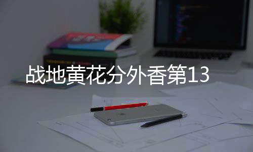 戰(zhàn)地黃花分外香第13