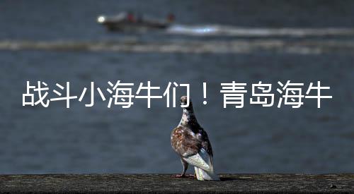 戰斗小海牛們！青島海牛U19梯隊大名單出爐，矯春本擔任主帥