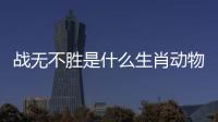 戰(zhàn)無不勝是什么生肖動物（戰(zhàn)無不勝是什么生肖）