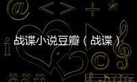 戰諜小說豆瓣（戰諜）