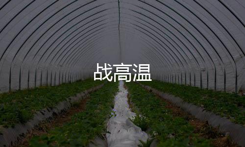 戰高溫