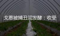 戈恩被捕丑聞發(fā)酵：收受日產(chǎn)合作伙伴資金