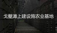 戈壁灘上建設(shè)施農(nóng)業(yè)基地