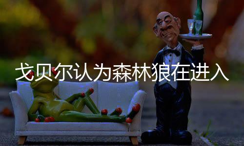 戈貝爾認(rèn)為森林狼在進(jìn)入季后賽后可以擊敗任何人