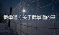 截拳道（關(guān)于截拳道的基本情況說(shuō)明介紹）