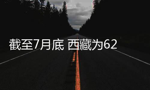 截至7月底 西藏為62萬個(gè)生態(tài)脫貧崗位補(bǔ)助資金18.6億元
