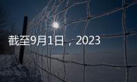 截至9月1日，2023/24年度棉花收獲面積已達到87.6%