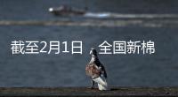 截至2月1日，全國新棉加工率為99.3%