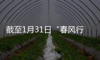 截至1月31日“春風行動”已輸送務工人員40萬人