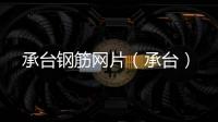 承臺鋼筋網片（承臺）
