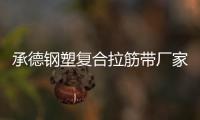 承德鋼塑復(fù)合拉筋帶廠家電話