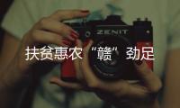 扶貧惠農(nóng)“贛”勁足