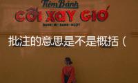 批注的意思是不是概括（批注的意思）