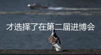 才選擇了在第二屆進博會時再來