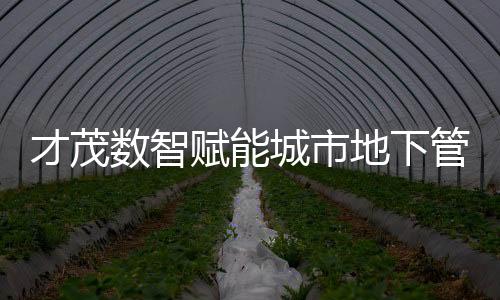 才茂數(shù)智賦能城市地下管網(wǎng)智能監(jiān)測