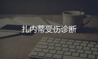 扎內蒂受傷診斷